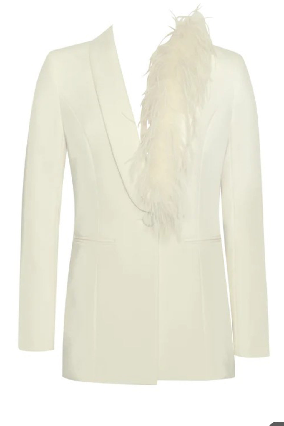 Feather Trim Blazer